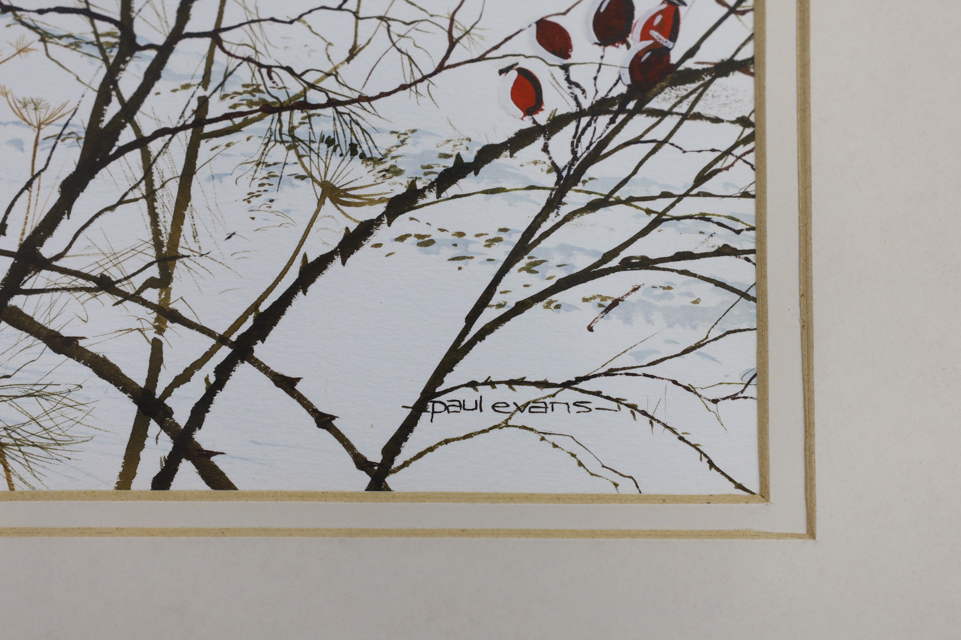 Paul Evans (b.1954), gouache, Winter landscape with red berries, signed, 34 x 47cm